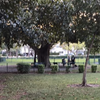 Pine Tree Bark Park